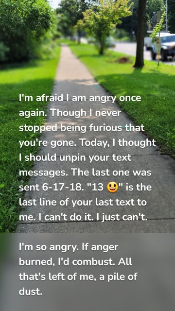 I'm afraid I am angry once again. Though I never stopped being furious that you're gone. Today, I thought I should unpin your text messages. The last one was sent 6-17-18. "13 😃" is the last line of your last text to me. I can't do it. I just can't. I'm so angry. If anger burned, I'd combust. All that's left of me, a pile of dust.